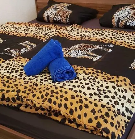 In 10 Apartment